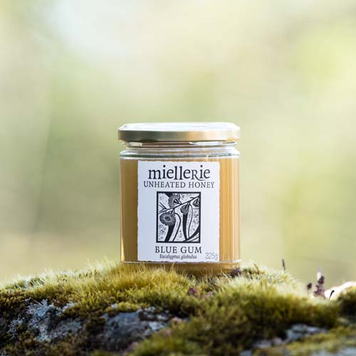 blue gum honey