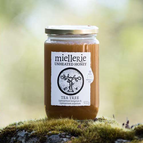 tea tree honey