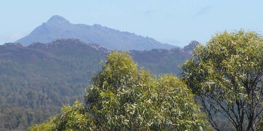 Beekeeping at Lake Pedder